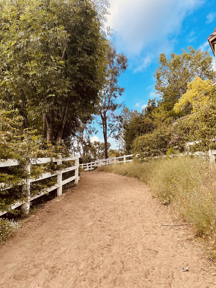 _Mariah_Suarez_'s tweet photo. my happy place 🌻✨ https://t.co/muBaD9RQvY