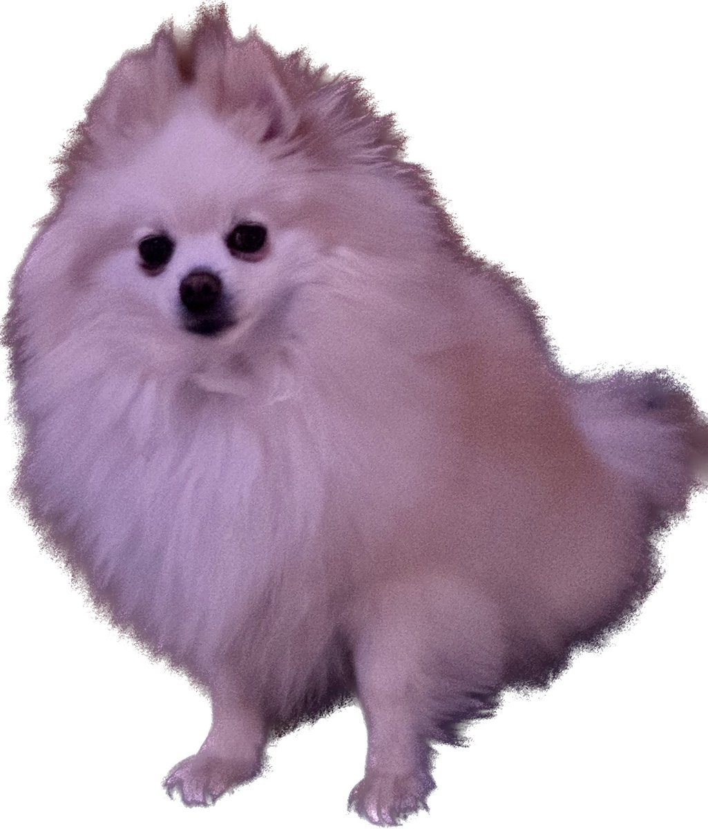 Tim Gettys tweet media