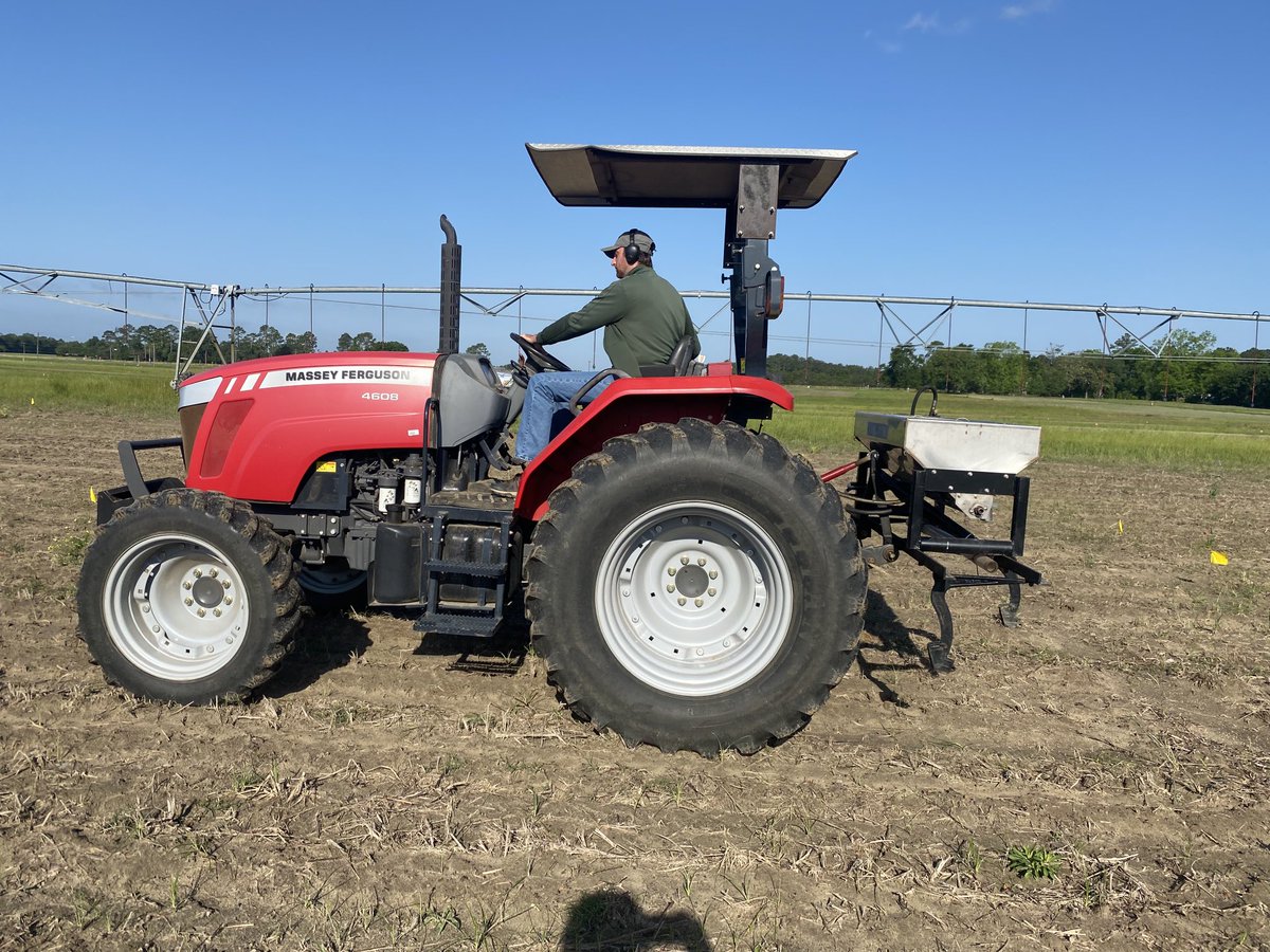 JosephEIboyi's tweet photo. Today, we applied P, K, and S fertilizer to our cotton field trials following soil test recommendation. Thanks to Ethan and Maynard. ⁦@bagarunjamin1⁩ ⁦@IanMSmall1⁩ ⁦@ufifasnfrec⁩ https://t.co/8vm6izGT9d