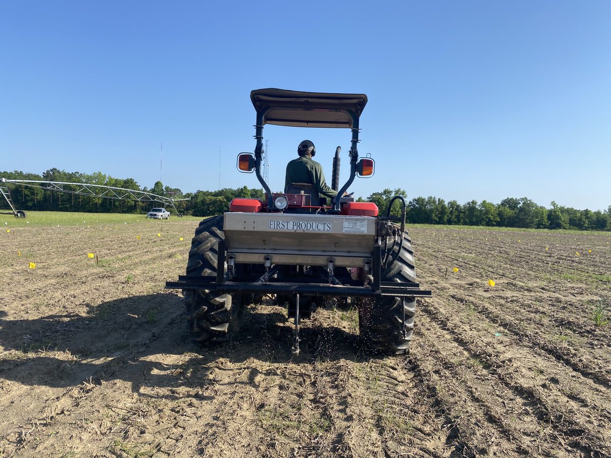 Today, we applied P, K, and S fertilizer to our cotton field trials following soil test recommendation. Thanks to Ethan and Maynard. ⁦<a href="/bagarunjamin1/">Sheeja George</a>⁩ ⁦<a href="/IanMSmall1/">Ian M. Small</a>⁩ ⁦<a href="/ufifasnfrec/">UF IFAS NFREC</a>⁩