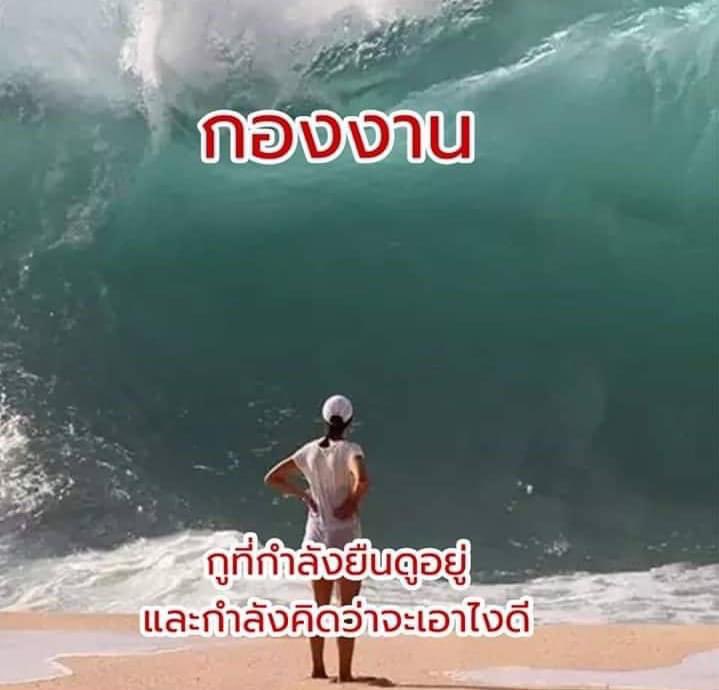 sutiฯ tweet media