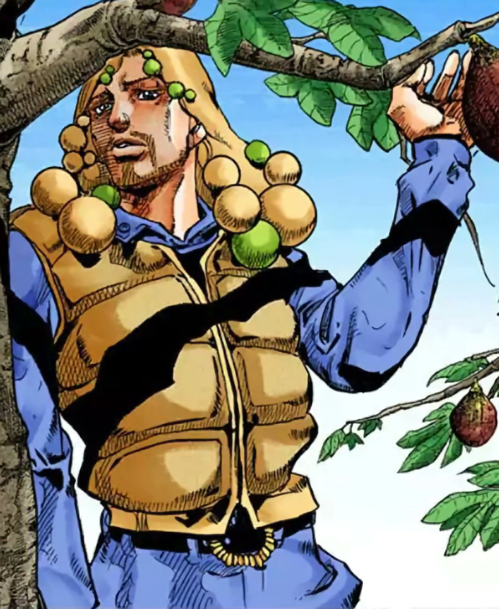 Is JoJolion Confirmed? on Twitter "No. Serious question Are Norisuke's hair balls fluffy or