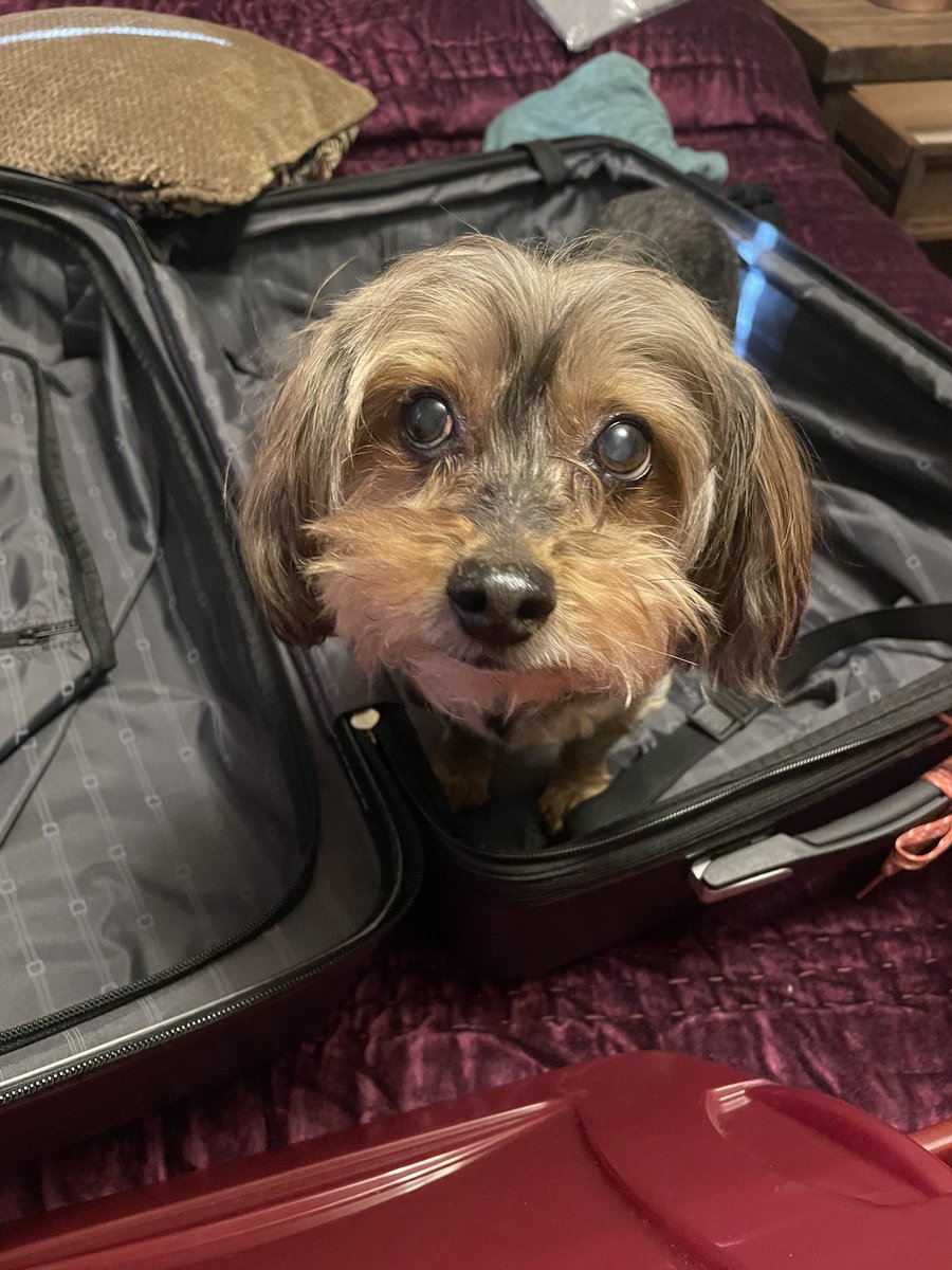 I’m packing myself for Mom’s work trip.