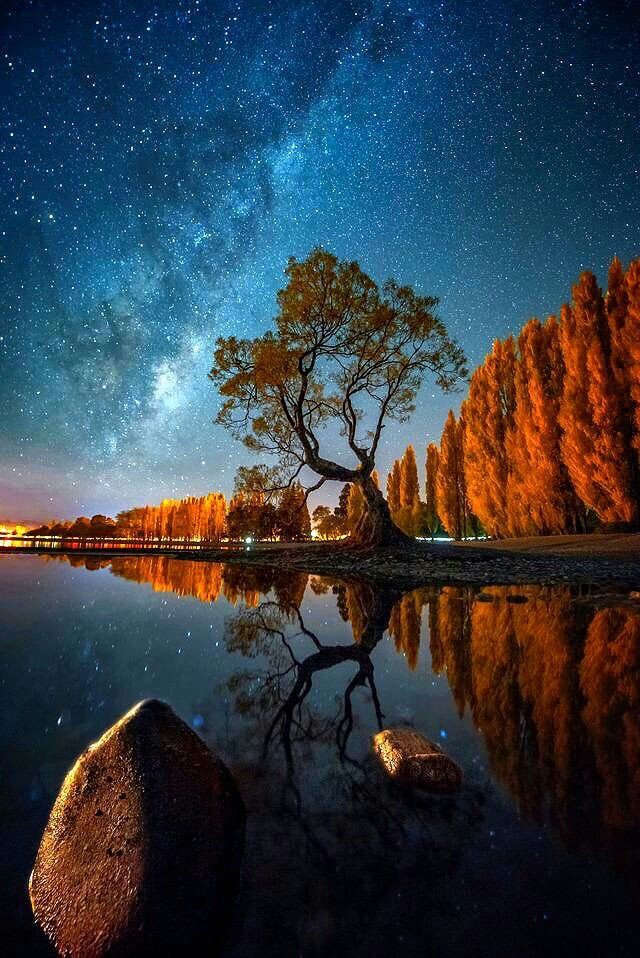 Stary night by the lake
#nature
