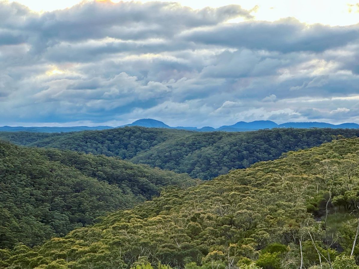 belindalovestea's tweet photo. The blue of distance as seen in the ‘blue mountains’ https://t.co/ChJUioFR6Y