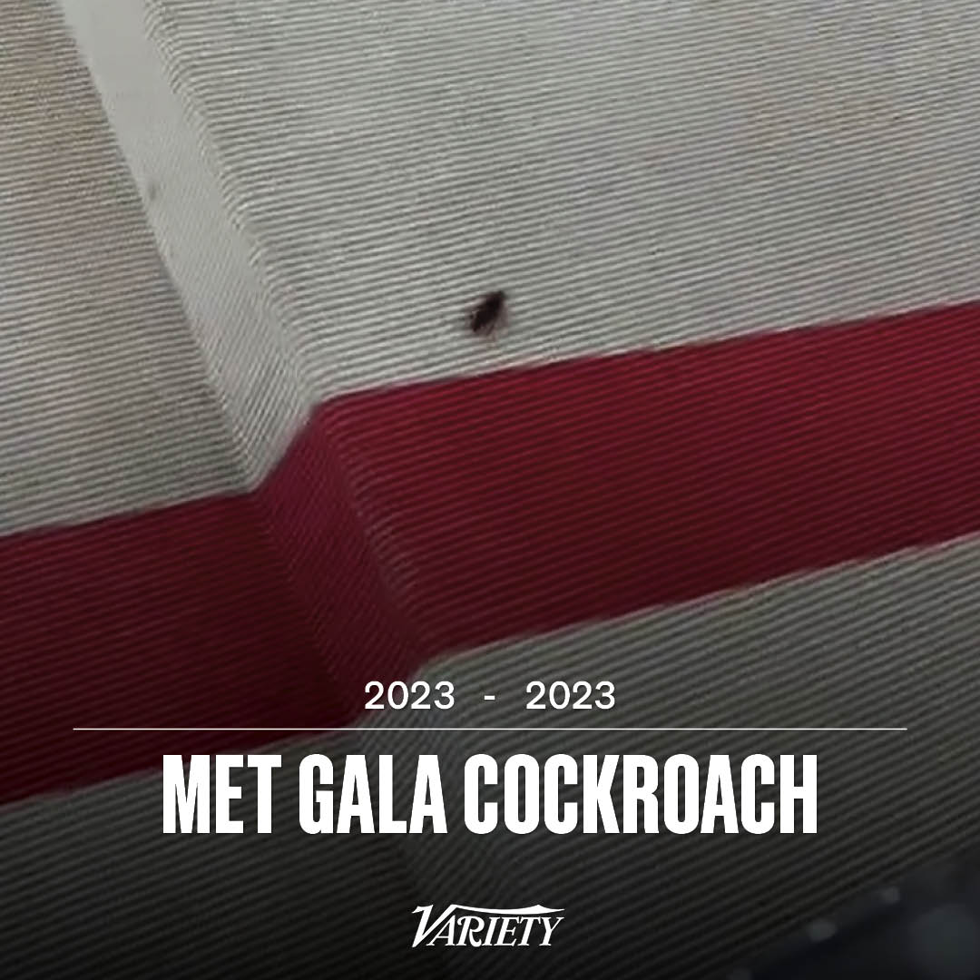 Variety's tweet image. It is with deep sadness that we must report the #MetGala cockroach was stepped on. #RIP