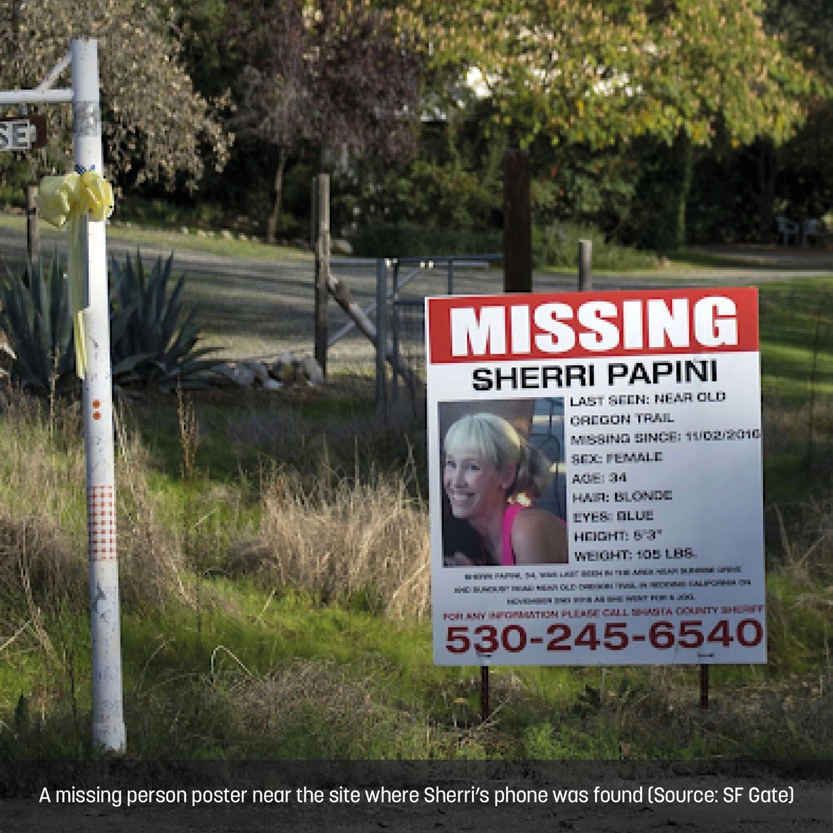 Casefile True Crime Podcast on Twitter "Case 245 Sherri Papini 1