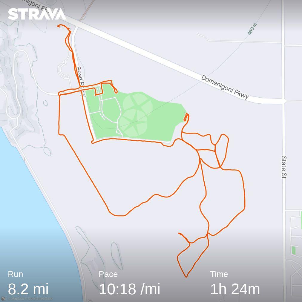 Vincent Vittorio tweet media