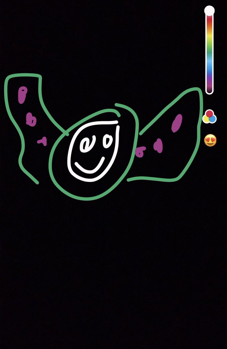 Jimmy Melanson tweet media