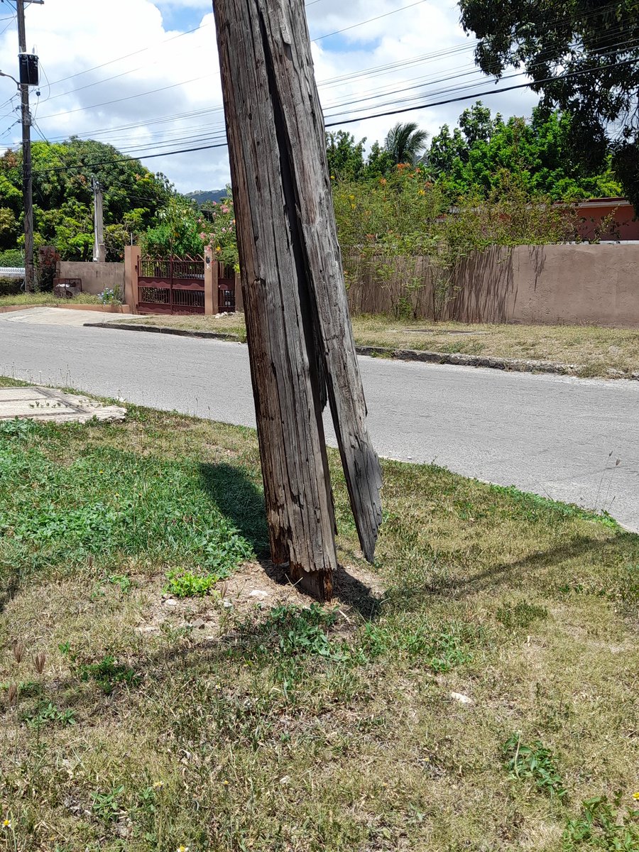 Christopher Hutchins tweet media