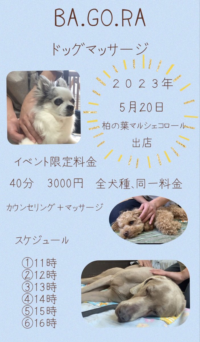 marche_couleurK's tweet photo. ワン��ゃんがいらっしゃる方必見👀❗️
本日は【BA.GO.RA】さんをご紹介！
ワンちゃんたちが最期まで自分の足で歩けるように、解剖学を元にした整体マッサージとウォーターセラピーのお店です。
愛犬の身体の気になることなど、身体をチェックしながら改善策などアドバイスいたします🐩
#bagora
#柏の葉 https://t.co/RyQIUTj9hK