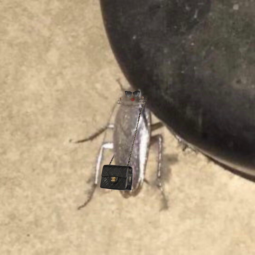 KarenMmendes's tweet photo. Hasta la cucaracha fue elegantemente posando a la Met Gala 2023 🥳
#MetGala https://t.co/oYXz06kEhH