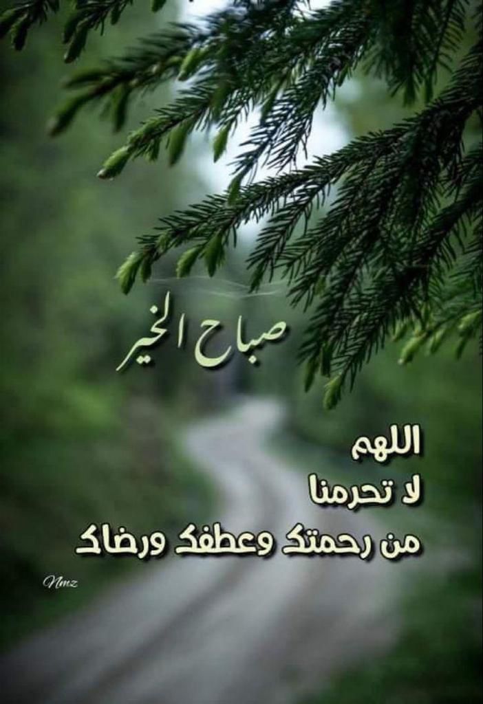 AL-Sharief Yassin (@alshariefya) on Twitter photo 