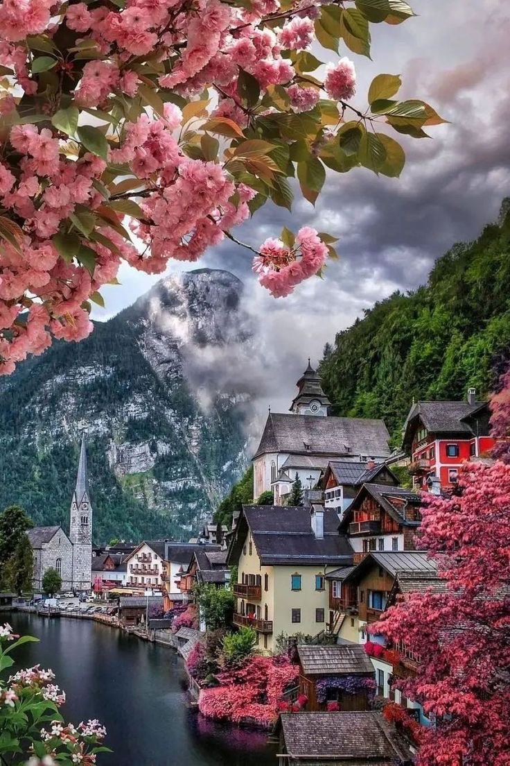 helena_mar19's tweet photo. Good Morning 
Have A Nice Day 

(Austria,📷Pinterest) https://t.co/l4yyYfx0cj