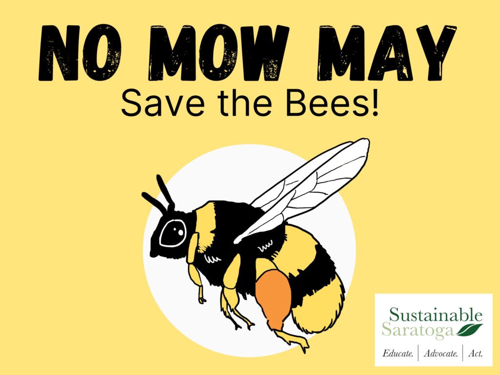 All_Animals_org's tweet photo. Please be kind to pollinators this spring! 🍃🌷🌿🌼🌱 Participate in #NoMowMay or #SlowMowMay to help #bees #butterflies #hummingbirds #bats &amp; other #pollinators
#SavePollinators #AllAnimals #BeeKind #Wildlife #Coexist #NativePlants #WildFlowers #PollinatorsAreTheBestPestControl https://t.co/JX53N5isyP