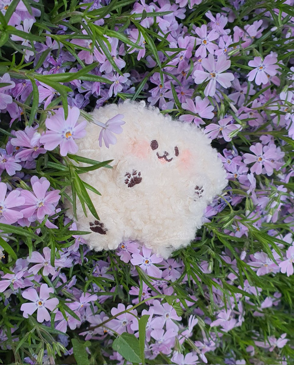 sosohan611004's tweet image. 🌟못나니 고구마떨이 ~~

자수 실수로 찡긋 골든이가 되어버린 B급 골든이 보냅니다(마지막사진 참조)
버리려다가(..) 아껴주실 분께 가는게 좋을것 같아서 보내요!!

시고르자브댕 찡긋 김골든 
(feat.의도치 않은 윙크)

🌟알티해주신 팔로워분들 대상 당발
🌟당발 오늘저녁