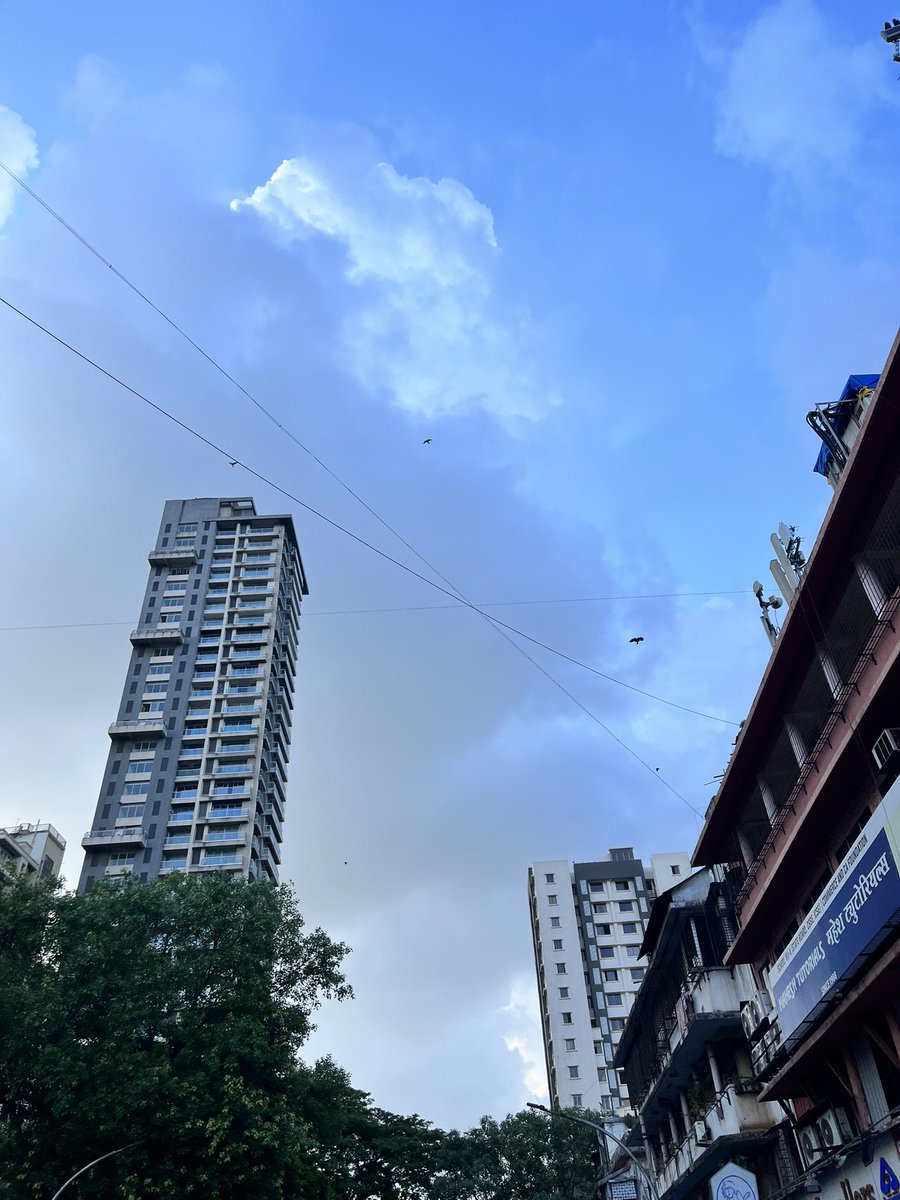Curlyarsh's tweet photo. Needed downpour! https://t.co/9knwVnxOei