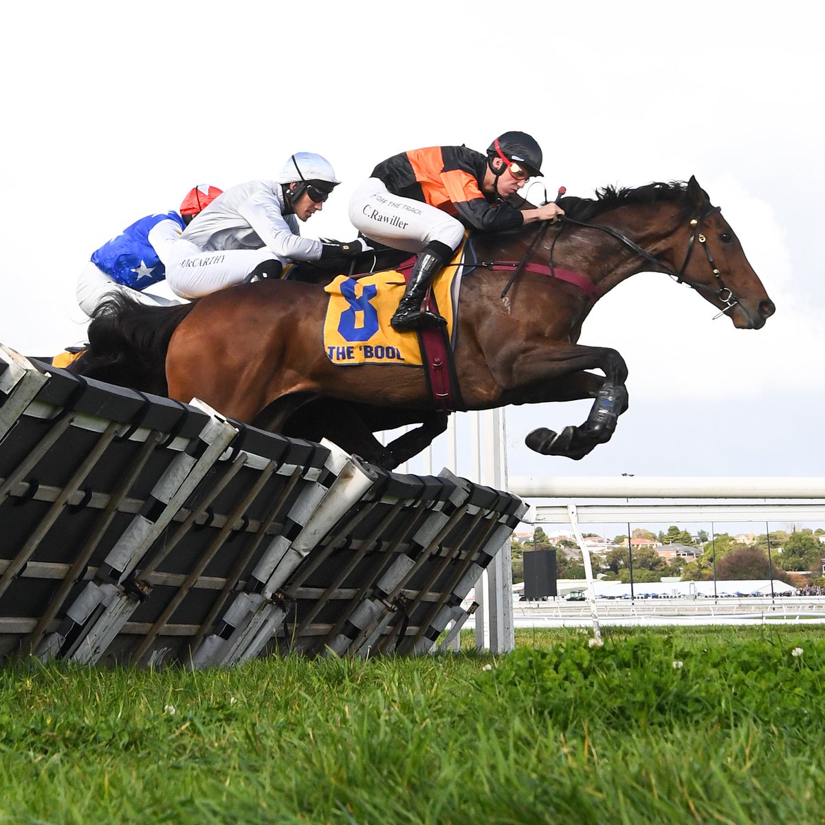 Racing Victoria tweet media