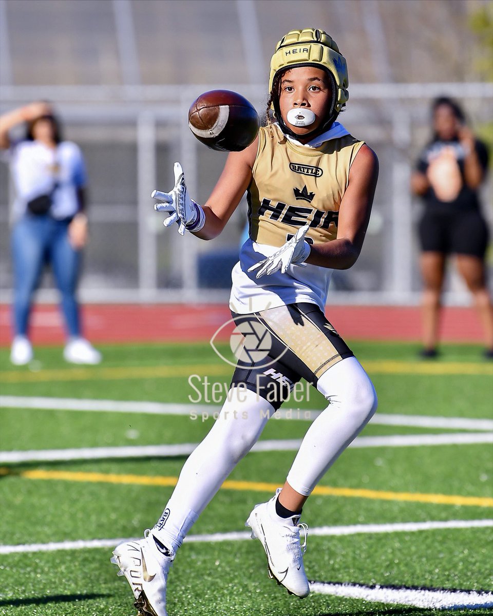 Steve Faber tweet media