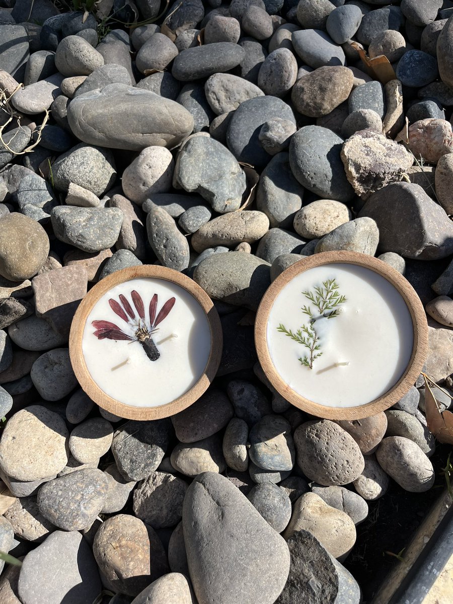inecastroo's tweet photo. Hola! Los invito a ver y seguirme 🫶🏼 en el Instagram de mi nuevo emprendimiento. Velas de soja con flora  de la Patagonia recolectada y prensada por mi 😌 

https://t.co/7nomJJRBHw 

RT tmb me ayuda 😘. Gracias! https://t.co/Mr82tmztuV