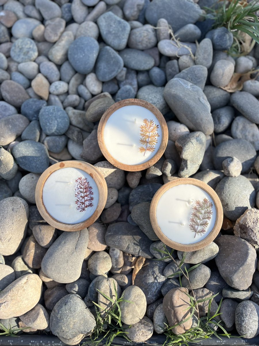inecastroo's tweet photo. Hola! Los invito a ver y seguirme 🫶🏼 en el Instagram de mi nuevo emprendimiento. Velas de soja con flora  de la Patagonia recolectada y prensada por mi 😌 

https://t.co/7nomJJRBHw 

RT tmb me ayuda 😘. Gracias! https://t.co/Mr82tmztuV