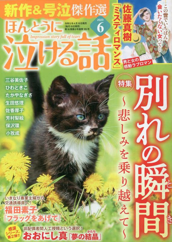 【掲載情報】「ほんとうに泣ける話」6月号に「フラッグをあげて」が再録されています。40代から仕事を始める女性の物語です。 【掲載情報・2】増刊号「看護師物語」6月号に「空への手紙」が再録されています。病院内学級を舞台にした物語。 →