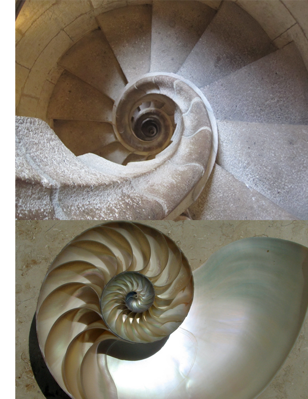 catalinalozada_'s tweet photo. Su estilo personal se caracteriza por una gran atención al detalle y una obsesión por la #naturaleza, la #geometría y la #simetría. Y también por poseer un profundo simbolismo #religioso. https://t.co/h1XNnTBTmA