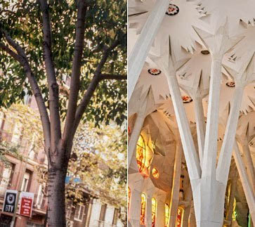 catalinalozada_'s tweet photo. Su estilo personal se caracteriza por una gran atención al detalle y una obsesión por la #naturaleza, la #geometría y la #simetría. Y también por poseer un profundo simbolismo #religioso. https://t.co/h1XNnTBTmA