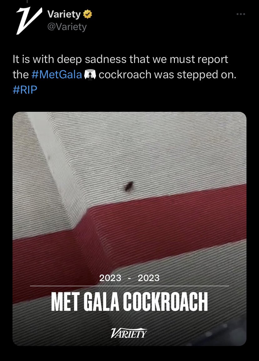 djarincrest's tweet photo. rip met gala cockroach https://t.co/fIJohfS72A