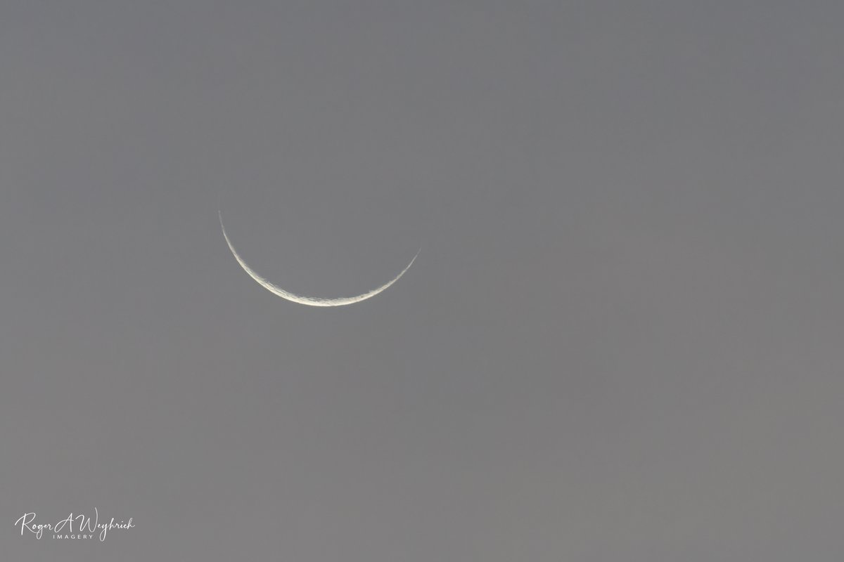 Roger Weyhrich tweet media