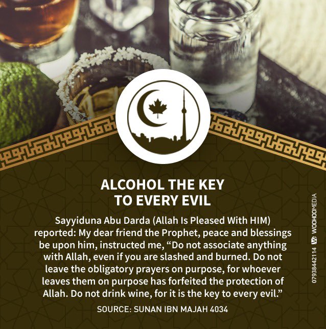 SufiCouncilTO's tweet photo. Sayyiduna Abu’l-Darda (Allah Is Pleased With HIM) narrated that the Prophet, Allah bless him and give him peace, said: “No one who is addicted to alcohol will enter Paradise.”
 Ibn Maajah, 3376

#HadithOfTheDay #suficouncilto #suficounciloftoronto #islam #Islamic https://t.co/GVSYk3rGt4