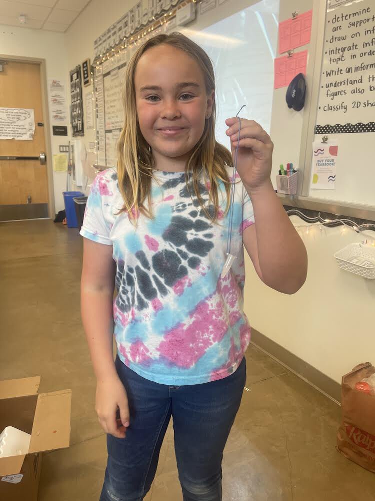 Last week was National DNA Day! Ms. Sanchez's 5th graders celebrated today with a Strawberry DNA Extraction experiment! A big thank you to @illuminainc for donating the supplies for this experiment to her classroom! So much learning about genetics and the importance of DNA! 💡🧬