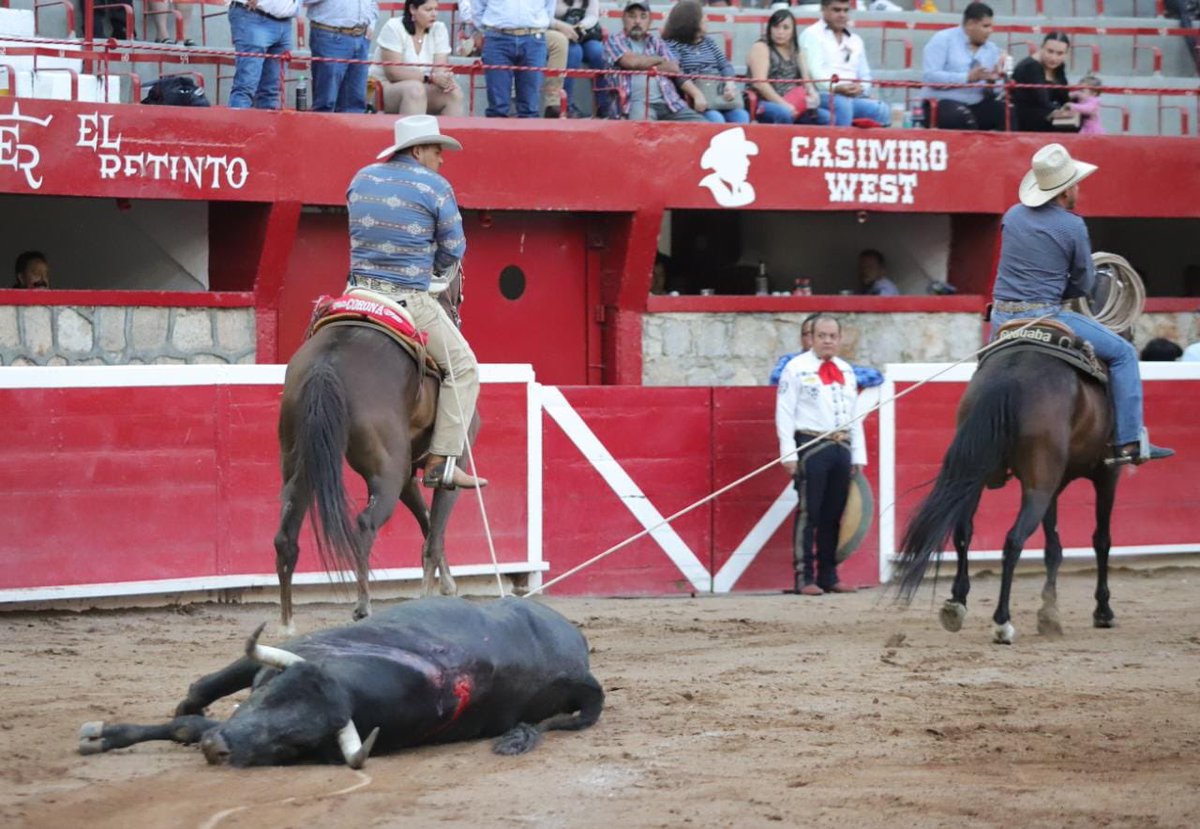 Ganadería La Muralla tweet media