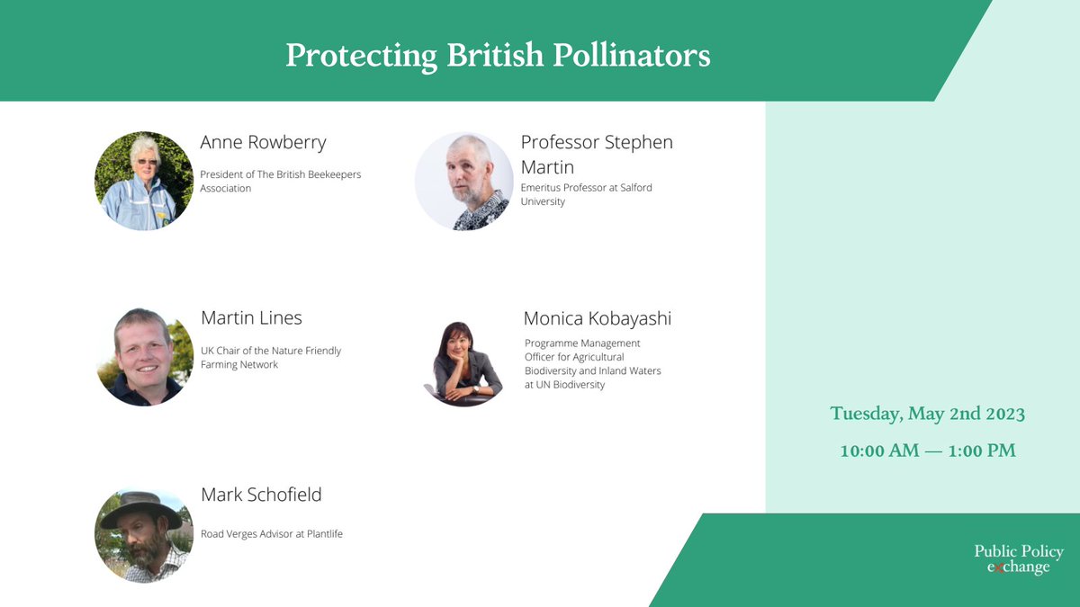 Don't miss today's #webinar on Protecting British Pollinators Register here: publicpolicyexchange.co.uk/event.php?even… With: Anne Rowberry, @LinesMartin , @markdschofield , Professor Stephen Martin and @monicakobayashi