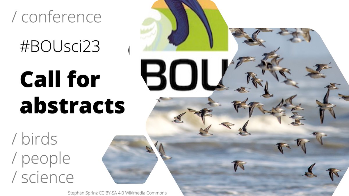 ‼️ Call for abstracts open ‼️

#BOUsci23
Global flyways: a synthesis of bird migration research

bou.org.uk/event/bousci23…

Deadline: 19 June 2023 (0900 BST)

See keynote lineup below ⬇️

#ornithology