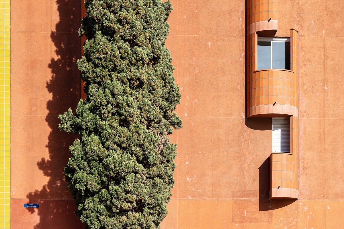 Sebastian Weiss tweet media