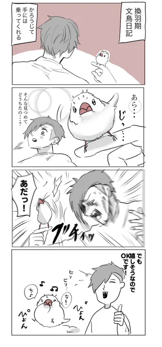 飼い主でストレス発散してほしい #文鳥