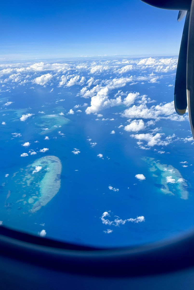 Michelle Bellingan tweet media