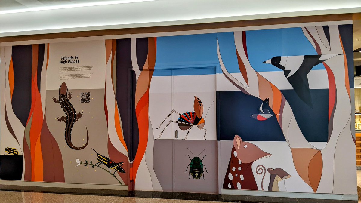 Dr Emily Scicluna 🌏 tweet media