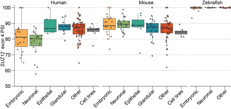 How conserved is this AS event? 
Evolutionary analysis shows that SUZ12 exon 4 skipping appeared in placental mammals while it behaves as a constitutive exon (always included) in all other vertebrates REGARDLESS of the tissue/cell type!
🐘🐮🐭🏃 (skipping)
🦈🐠🐔🦘(inclusion)
3/9