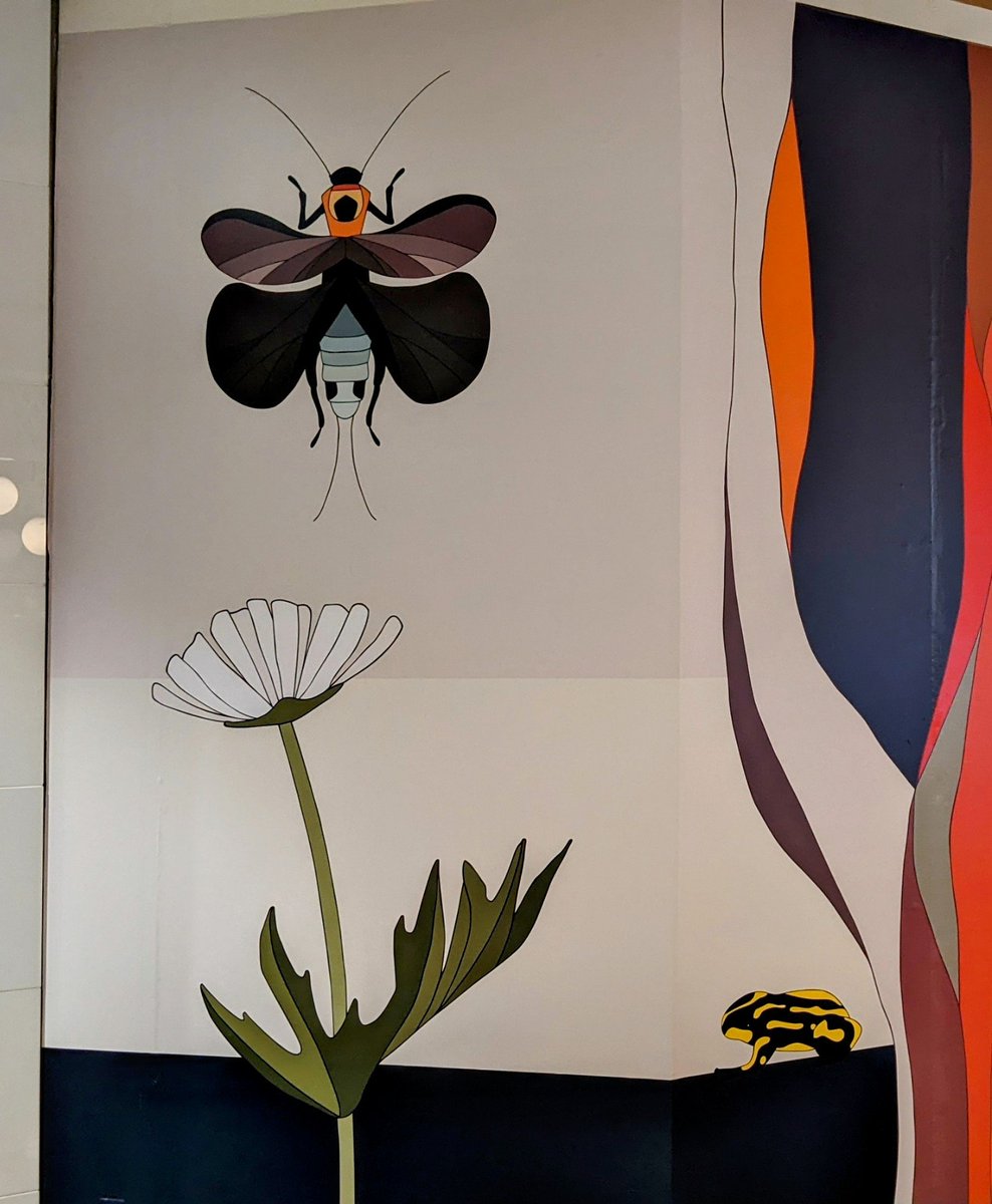 Dr Emily Scicluna 🌏 tweet media