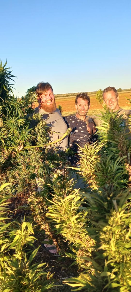 dylan_rosac's tweet photo. Visit to RSA-Cannabis's R&D Farm, The C-Suite had a blast with the Canna-Familla #rsacannabis #CannabisCommunity #cannabisindustry #cannabisculture #rosac #rsacannabis https://t.co/4aKVwp2InR