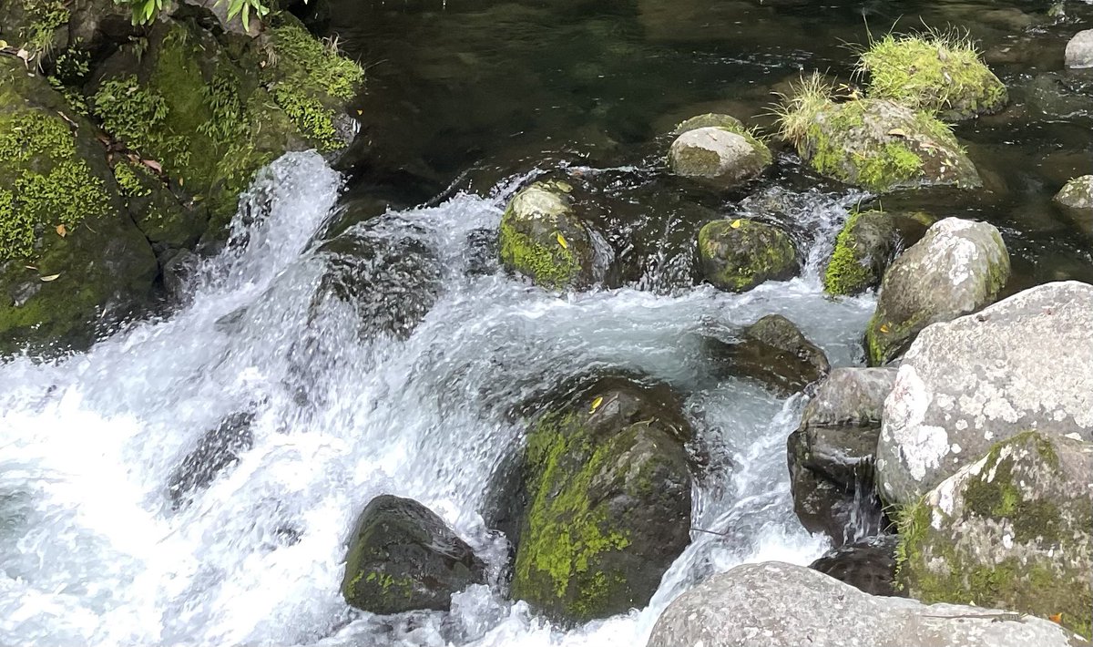 Prosperity will always involve money but money does not determine prosperity. Money is just a tool for the prosperous. So the more tools the more you can do. But it is purpose that determines the right tool not the other way around. 
#loveGodnotmoney #trustGodnotmoney