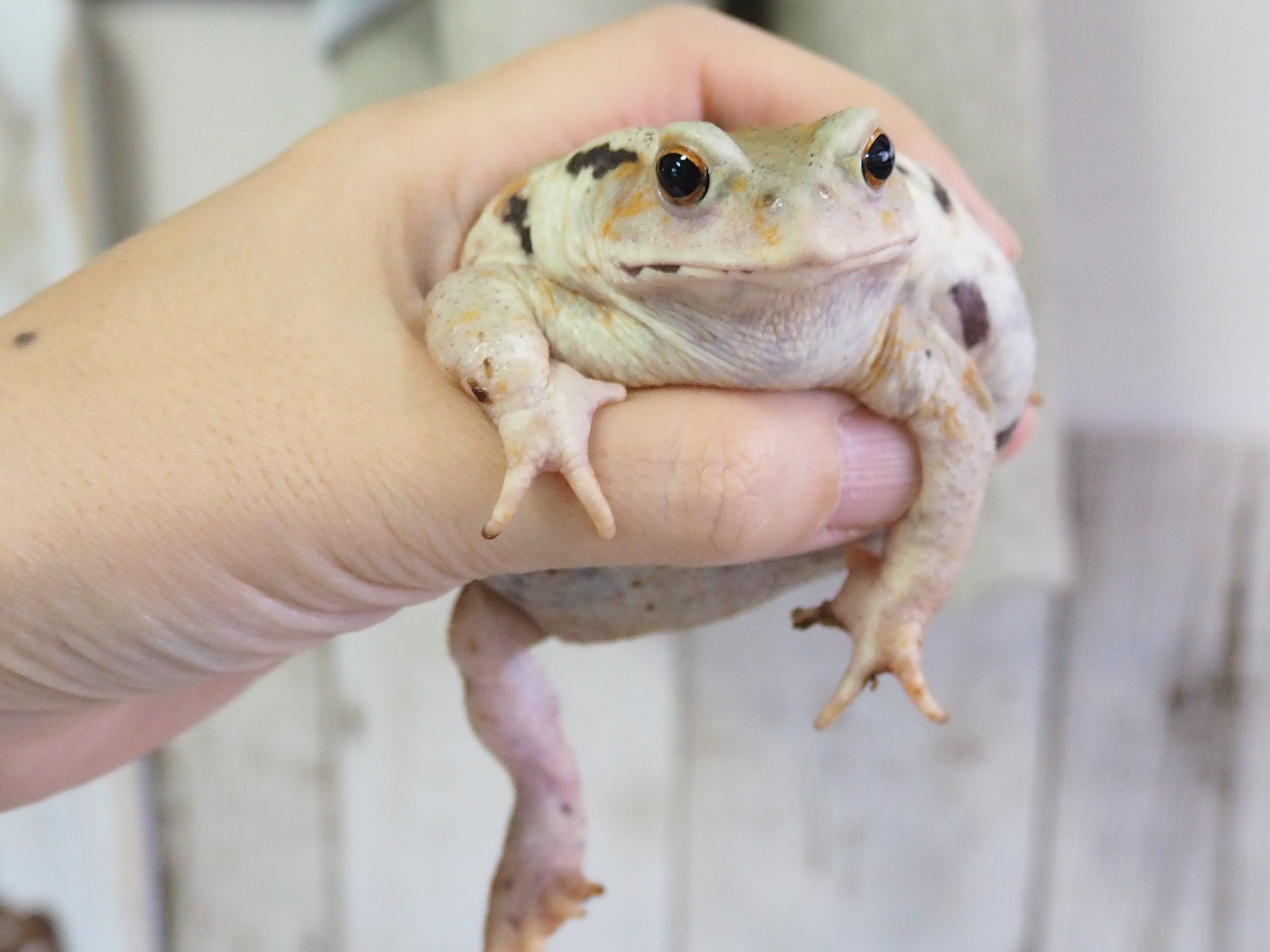 お米ちゃん。 味付けおこめ (@12.ocome) • Instagram photos and videos