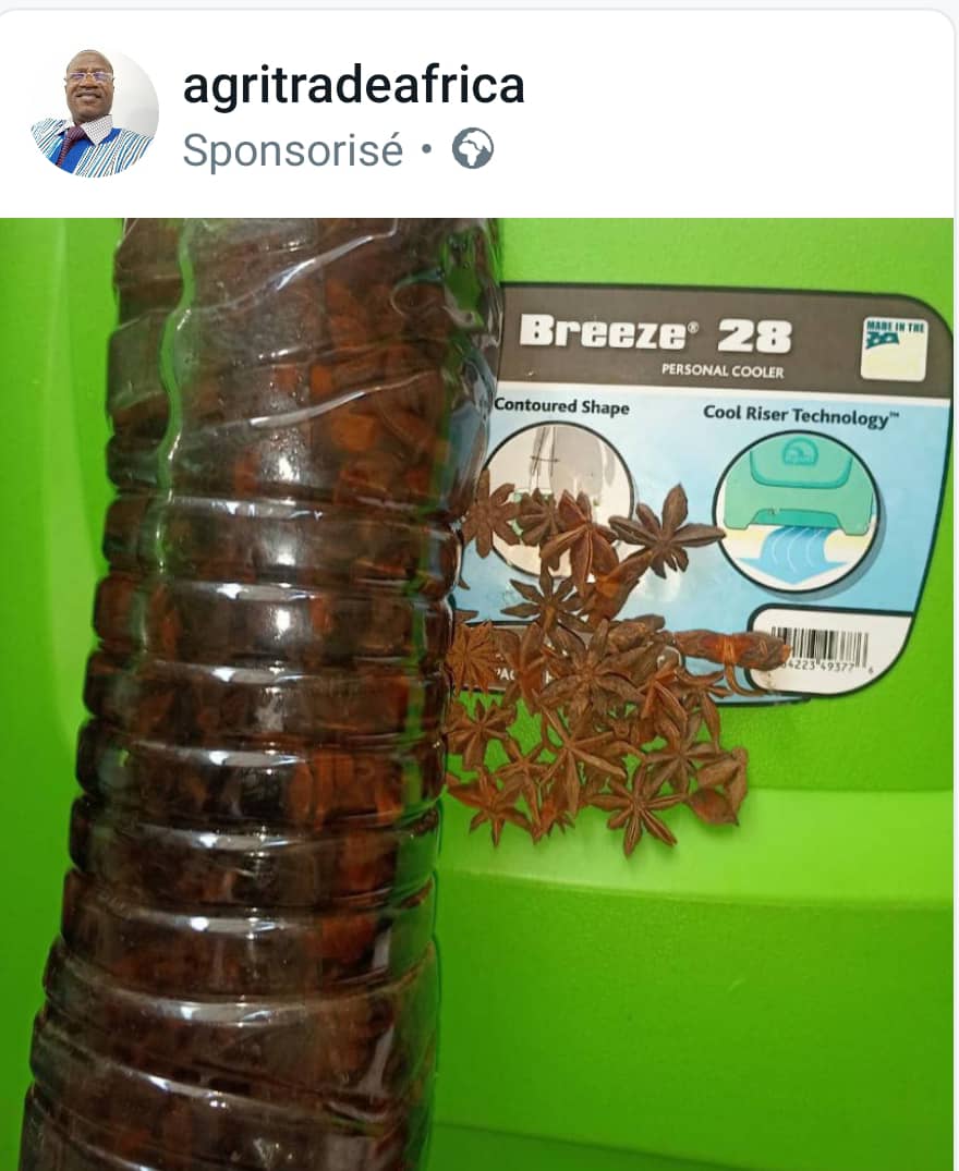 elhadjham's tweet image. Pour une infusion efficace, faites #infuser une cuillère de poudre d’#anis dans de l’eau bouillante pendant 5 à 10 min. Elle peut être consommée 30min avant le repas pour anticiper les troubles digestifs et en fin de repas pour traiter le ballonnement. #TgTwittos
#Denyigban
#OMS