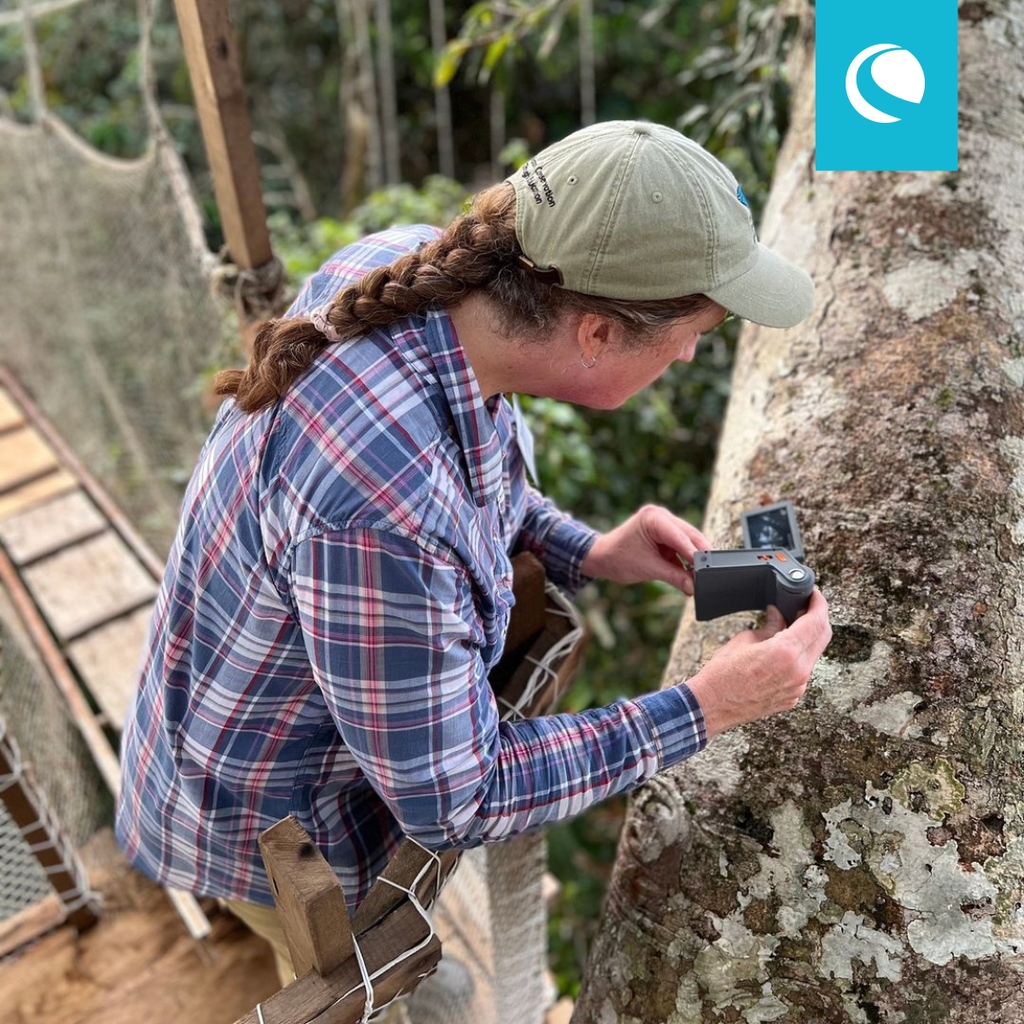 We take today to appreciate the importance of teachers and all they do for our next gerneration of learners. Kristie & Jessica of @thebugchicks teach a course in the Amazon Rainforest with the @morphoinstitute and @exploramaperu.

🔬Celestron FlipView Digital handheld microscope