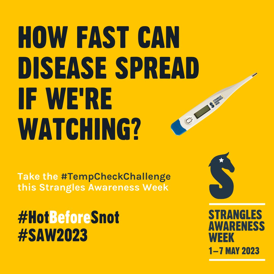 BEVA_news's tweet image. #SAW2023 aims to stop the spread of Strangles by providing information on how to spot the disease before it's too late. Take a look at the resources available, including the #TempCheckChallenge, and share them in your practice ow.ly/saxv50NO4kt

@StranglesWeek