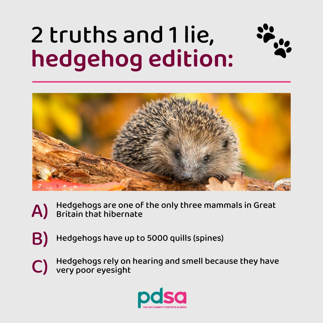 PDSA_HQ's tweet image. In honour of #HedgehogAwarenessWeek, we thought we’d test your knowledge with a little game of 2 truths and 1 lie 🦔

Which do you think is the lie? 👀🤥

We will share the answer tomorrow!