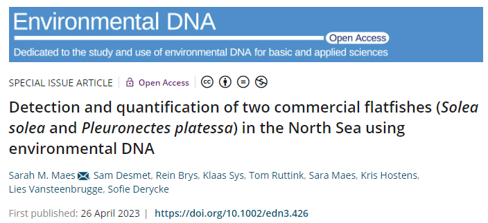 Sarah Maes tweet media