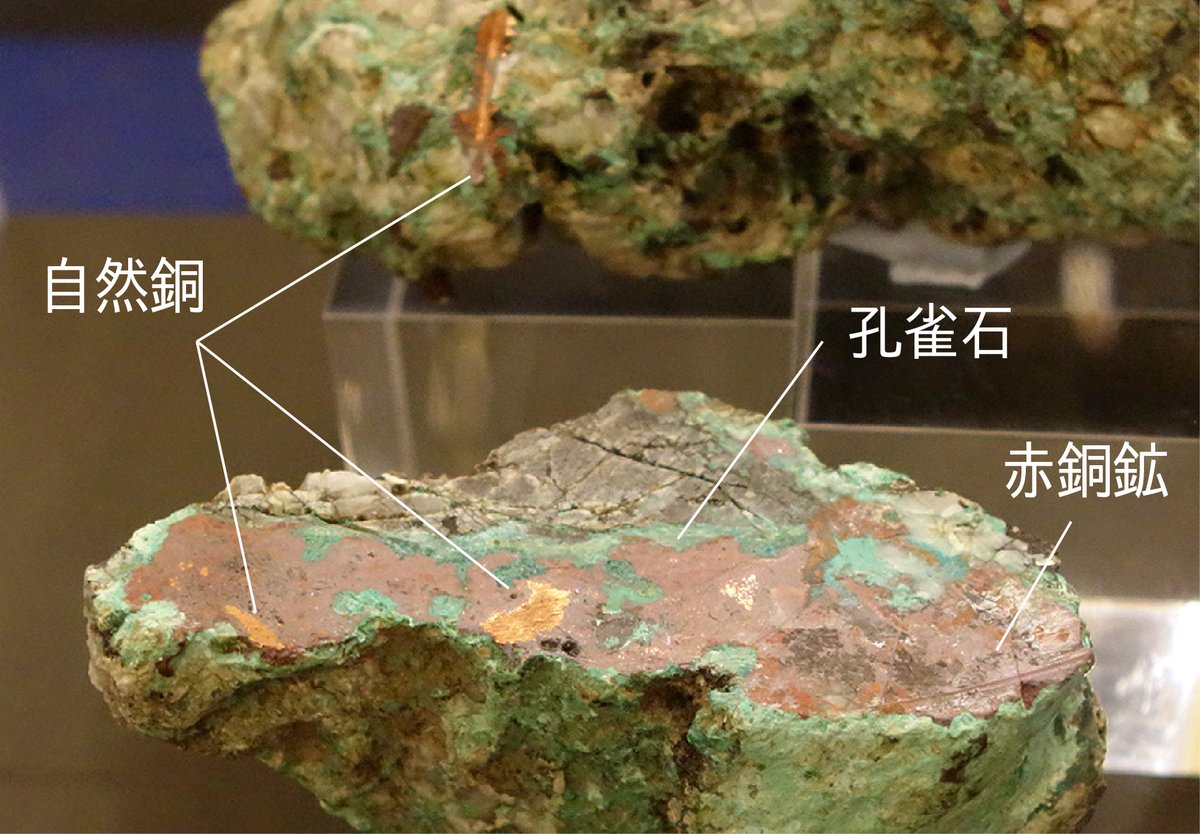 本日の ＃博物館のゴールド 金と同じと書いて「銅」…ということで